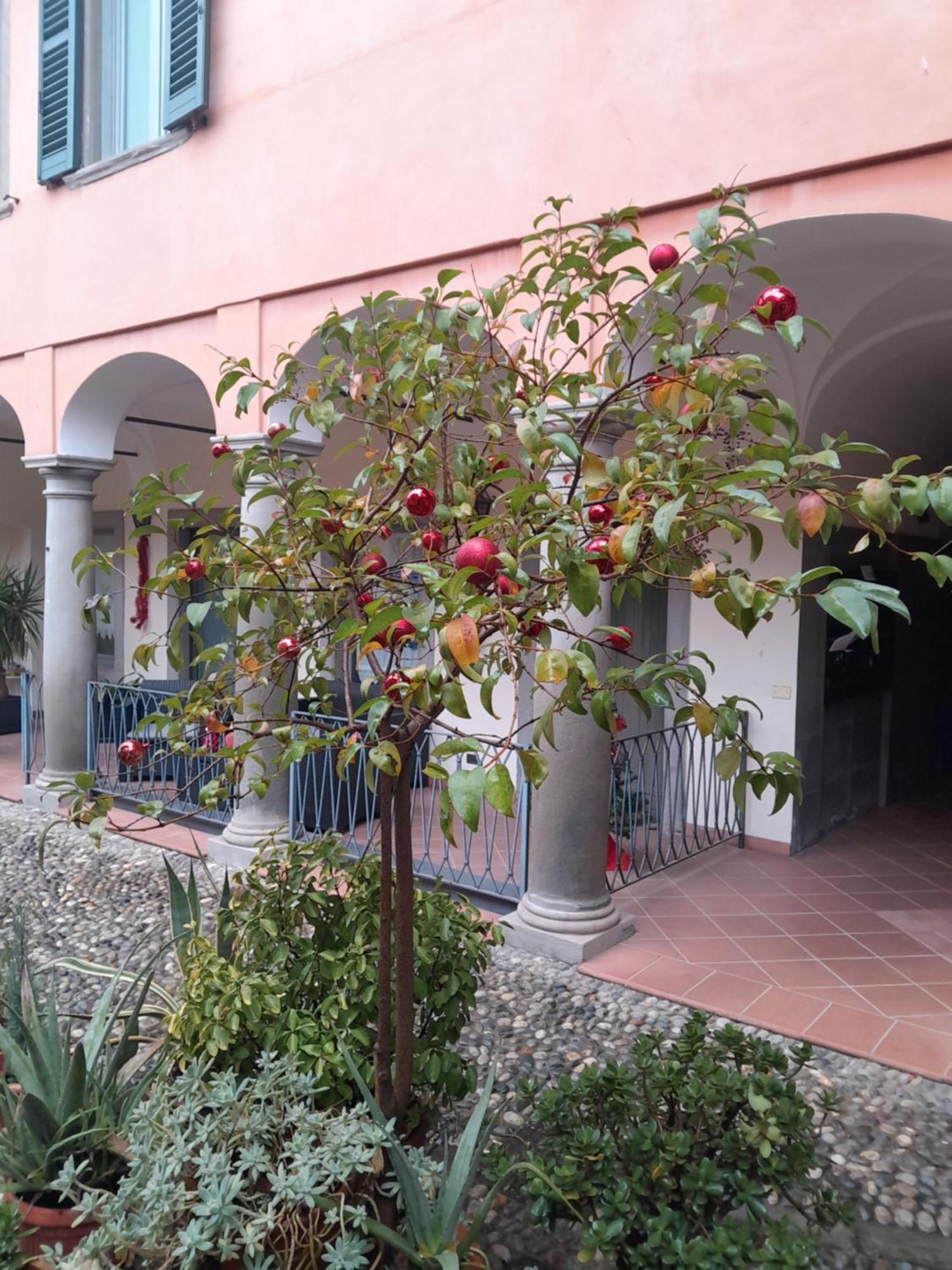 Apartamento La Corte Dei Cappuccini *